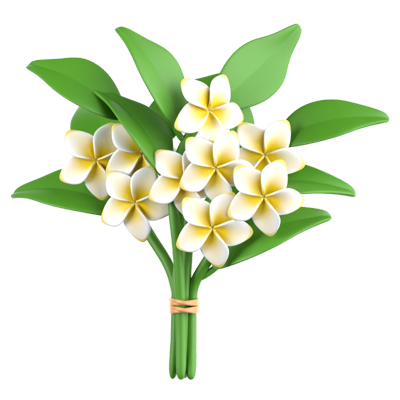 Ramo de Frangipani Icono 3D 3D Graphic