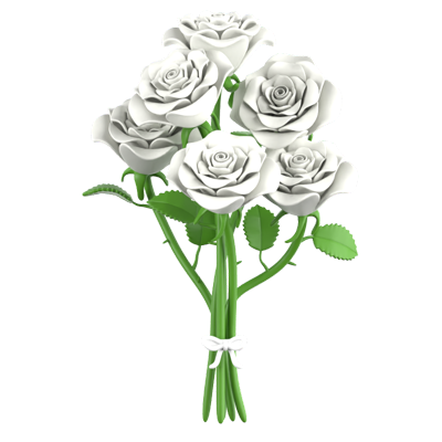 weiße rose blumenstrauß 3d icon 3D Graphic