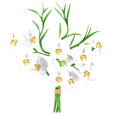 Orchids Bouquet 3D Icon 3D Graphic