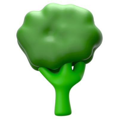 Broccoli 3D Icon 3D Graphic