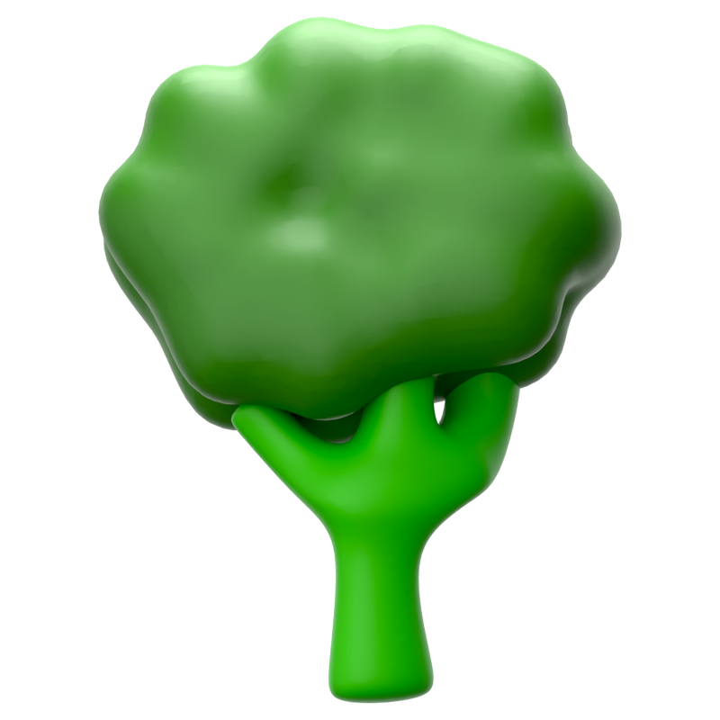 Broccoli 3D Icon 3D Graphic