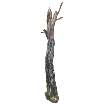 Long Dead Wood Birch Trunk 3D Model 3D Graphic
