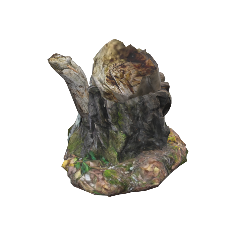 Modelo 3D de toco de bétula de madeira morta volumosa