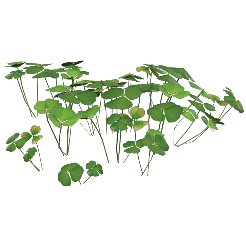 Clover Leaves Large Group Modelo 3D Sorrel Wood