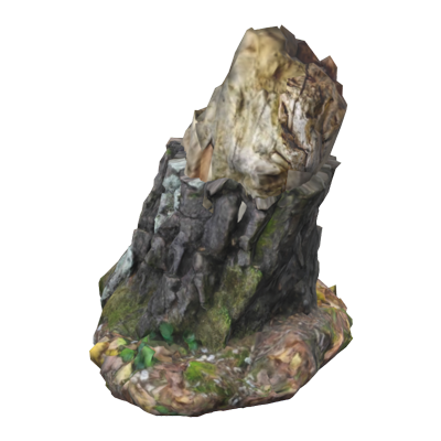 Dead Wood Birch Stump 3D Model 3D Graphic