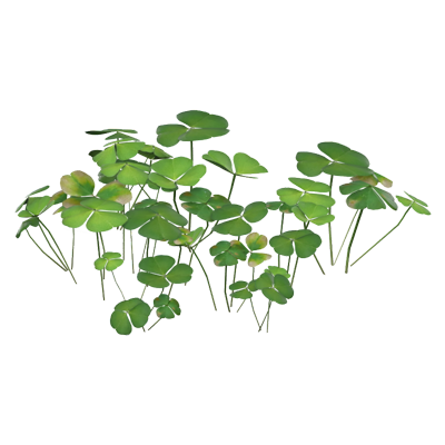 Clover Leaves Large Group Different Sizes 3D Model Sorrel Wood 3D Graphic