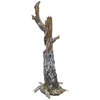 Dead Wood Birch Trunk With Branches 3D Model 3D Graphic