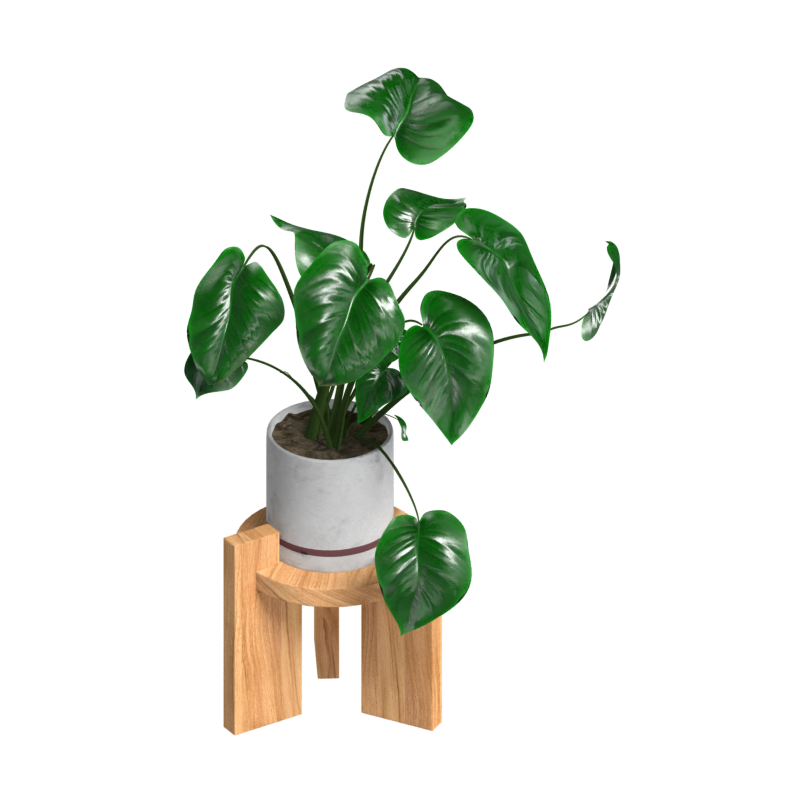 Planta de interior tropical en soporte de madera Modelo 3D