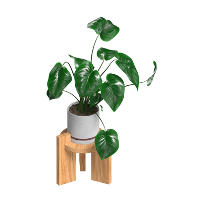 Tropical Houseplant On Wooden Stand 3D Model 3D Graphic