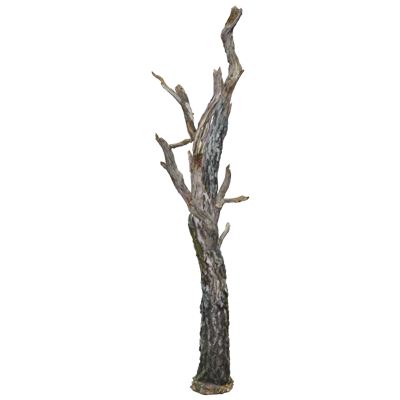 Dead Wood Birch Trunk With Several Branches 3D Model 3D Graphic