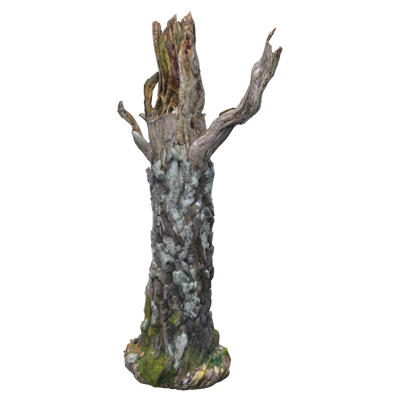 Large Dead Wood Birch Trunk 3D Model 3D Graphic