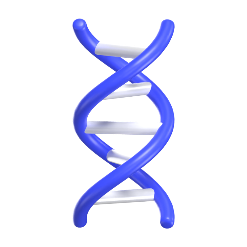 DNA-Struktur 3D-Symbol Modell 3D Graphic