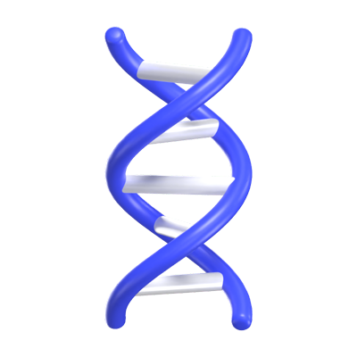 DNA Structure 3D Icon Model 3D Graphic