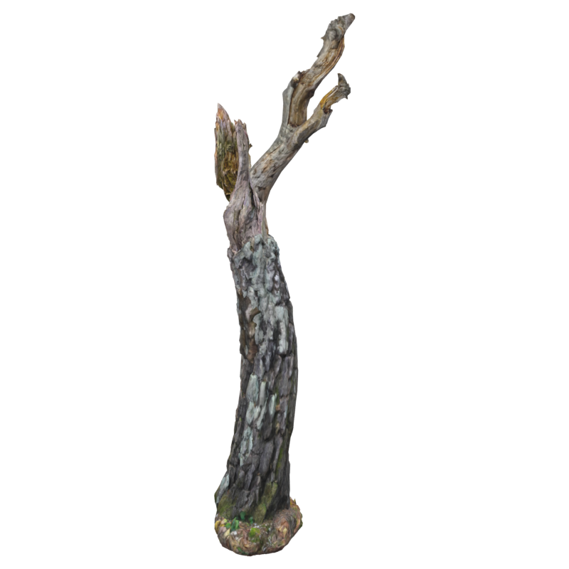 Long Crooked Dead Wood Birch Trunk With Branches 3D Model