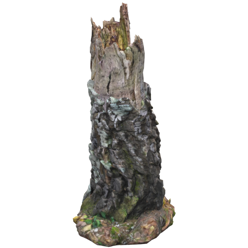 Modelo 3D de tronco de bétula de madeira morta volumosa