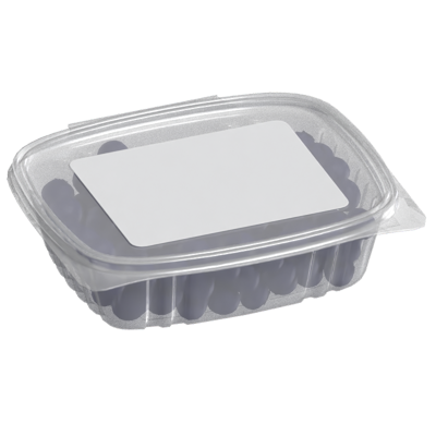 Squared Shaped Food Container 3D Model 3D Graphic