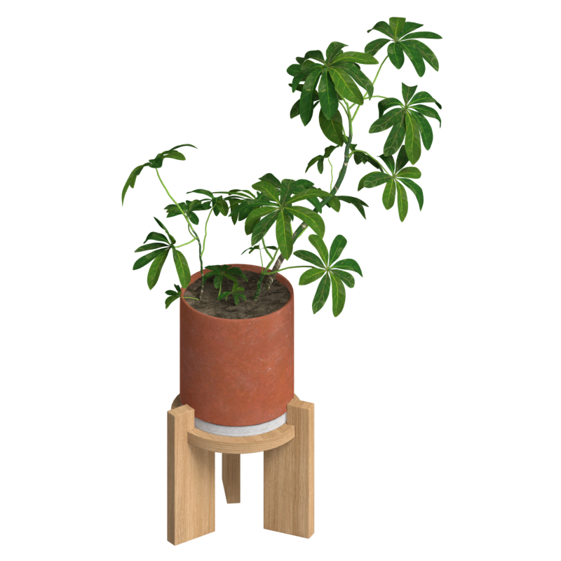 Tropical Houseplant On Wooden Stand 3D Model