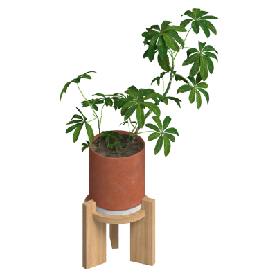 Tropical Houseplant On Wooden Stand 3D Model 3D Graphic