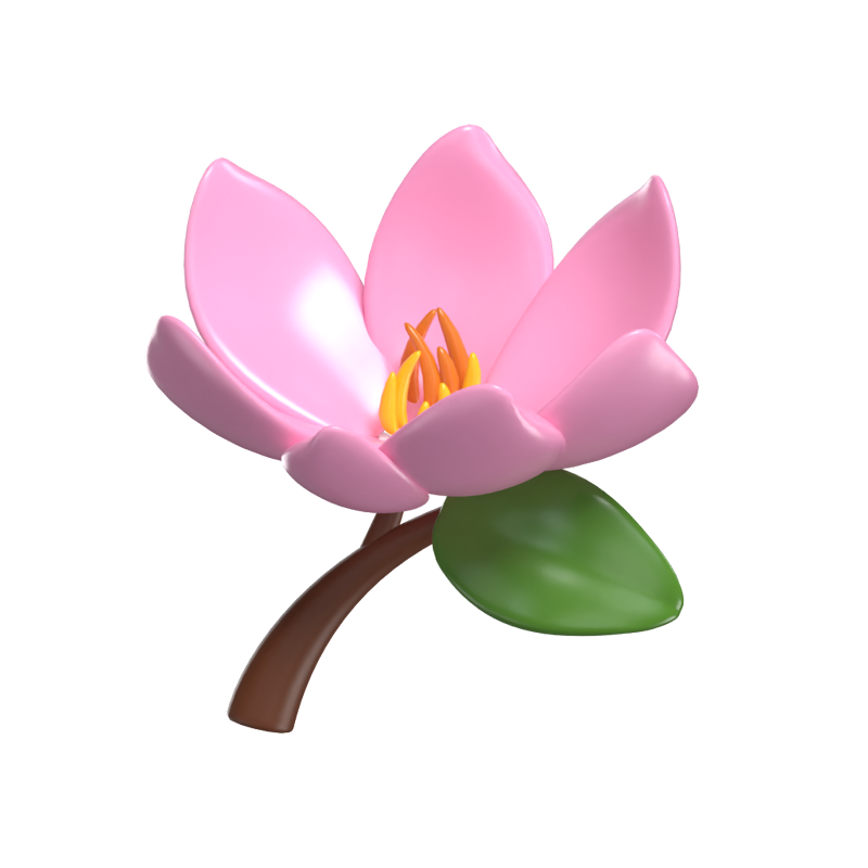  3D Magnolia Cute With Stem and One Leaf 3D Graphic