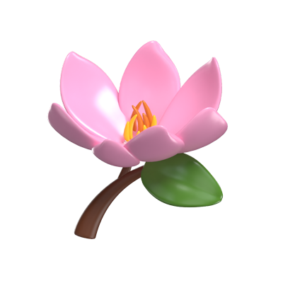  3D Magnolia Cute With Stem and One Leaf 3D Graphic