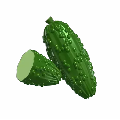 Two 3D Bitter Gourd Models And Sliced 3D Graphic