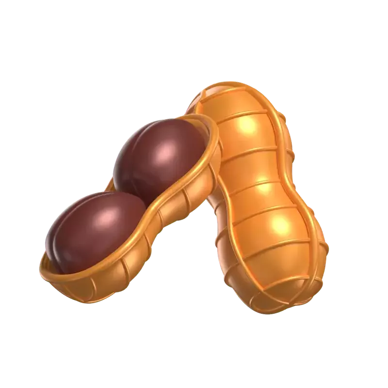 Two 3D Peanut Model Closed And Sliced Shell 3D Graphic