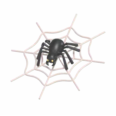 Spider Web 3D Graphic