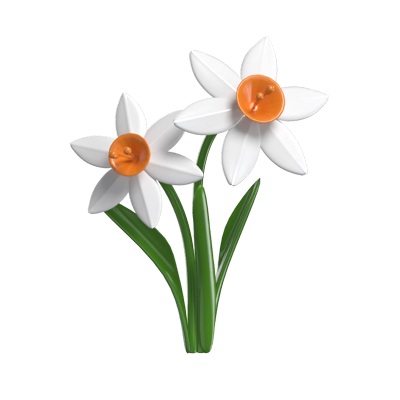 3D Daffodil Cute Cheerful Floral Beauty 3D Graphic