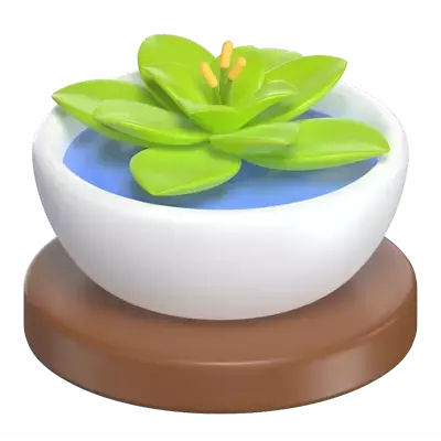 Spa Flower  3D Graphic
