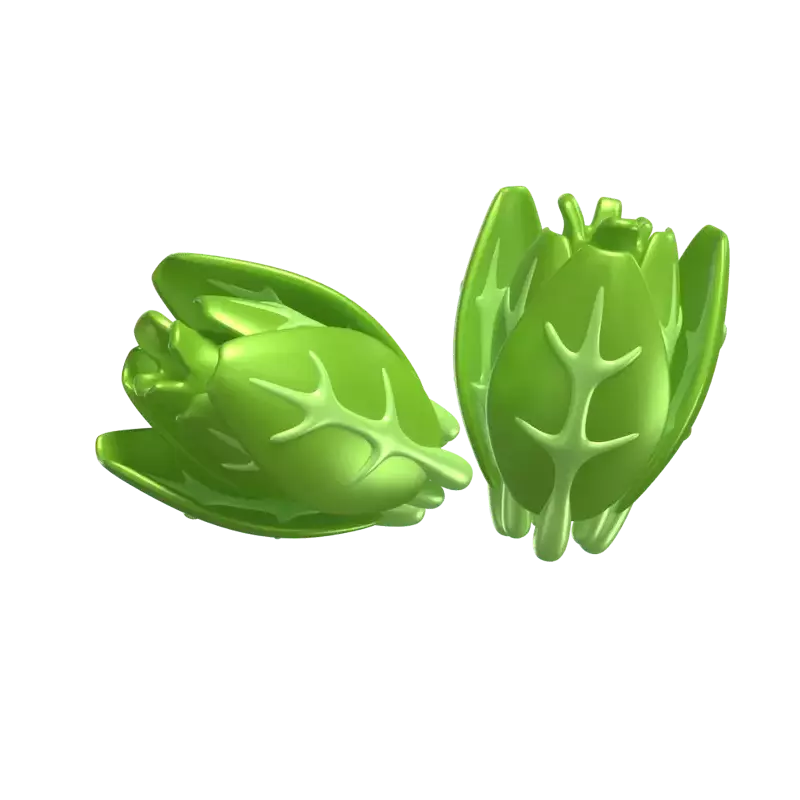 Two Lettuce Pieces 3D Model 3D Graphic