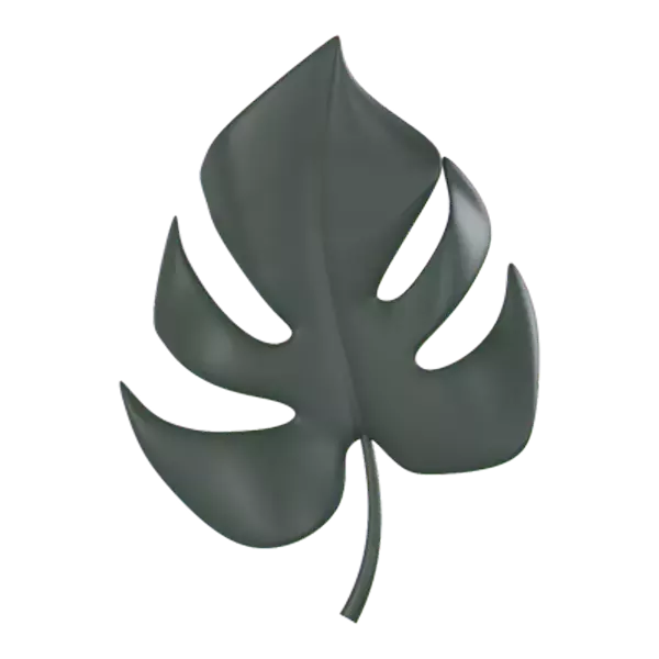 Monstera 3D Graphic