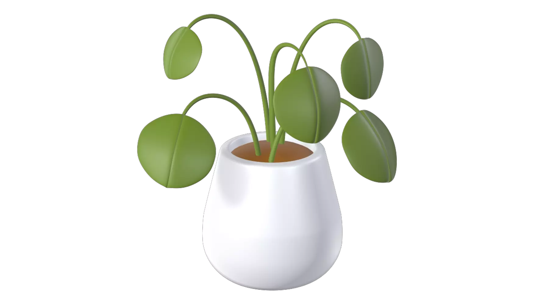 Pilea Peperomioides Plant 3D Graphic