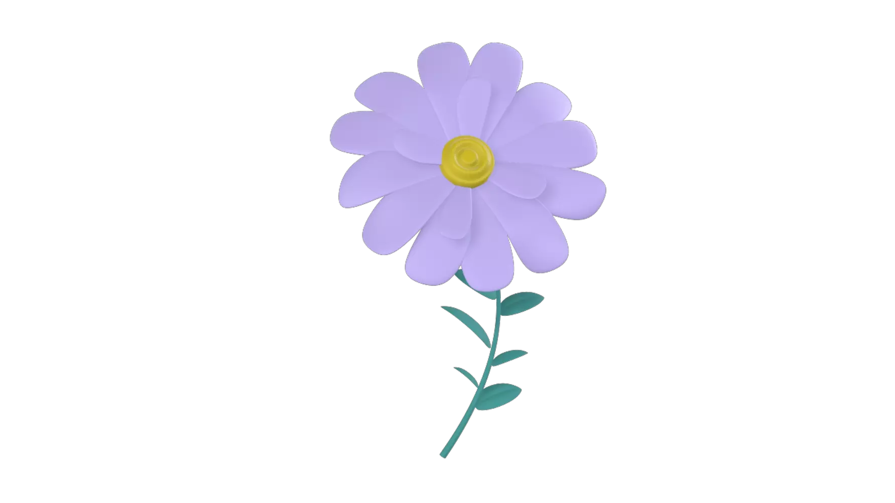 Cape Daisy 3D Graphic