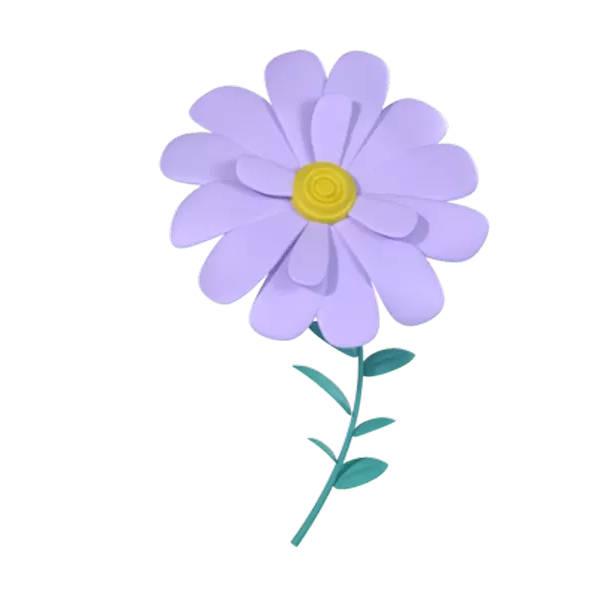 Cape Daisy 3D Graphic