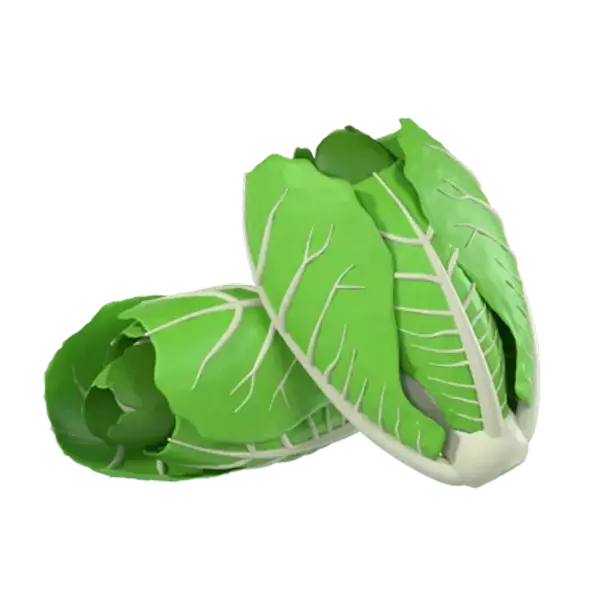 Chinese Cabbage 3d model--36d08be6-4489-474f-b11d-2ee92117085d