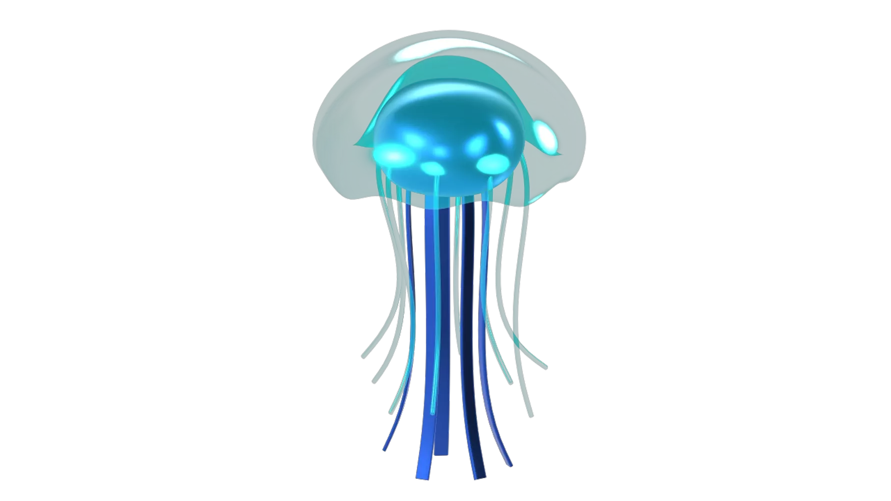 Jellyfish 3D Graphic