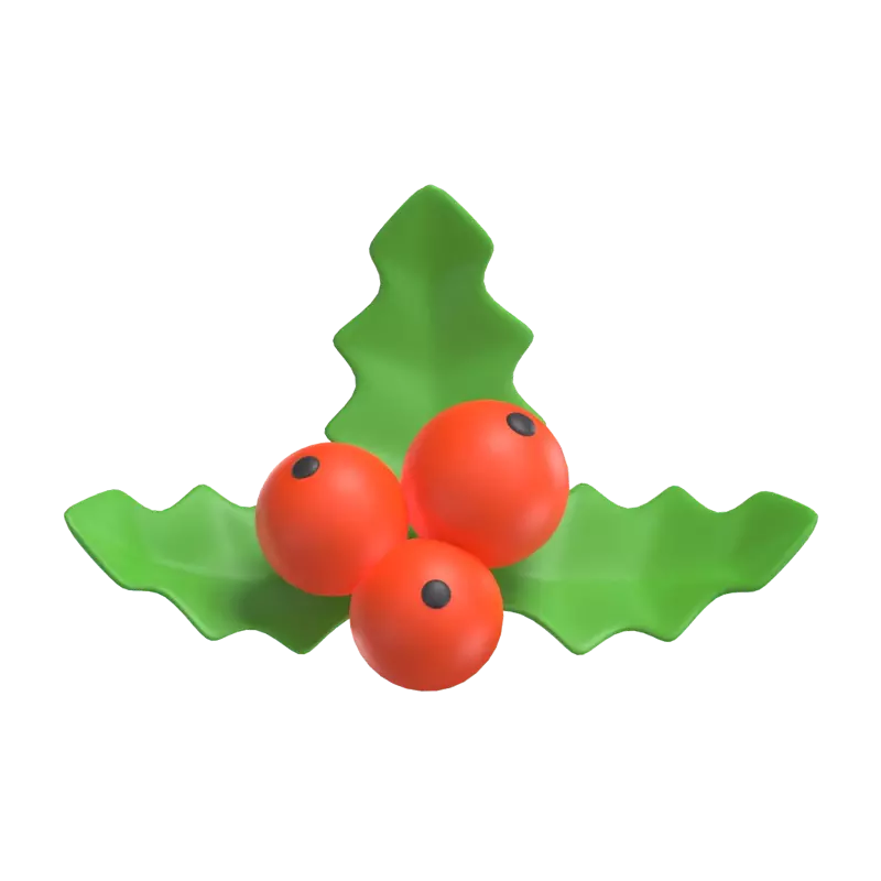 Mistletoe 3D Graphic