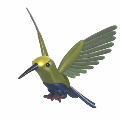 Hummingbird 3D Graphic