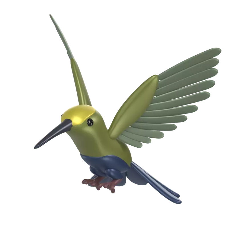 Hummingbird 3D Graphic