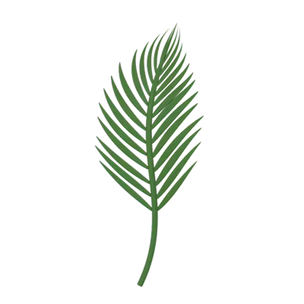 Palm Leaf 3D Graphic