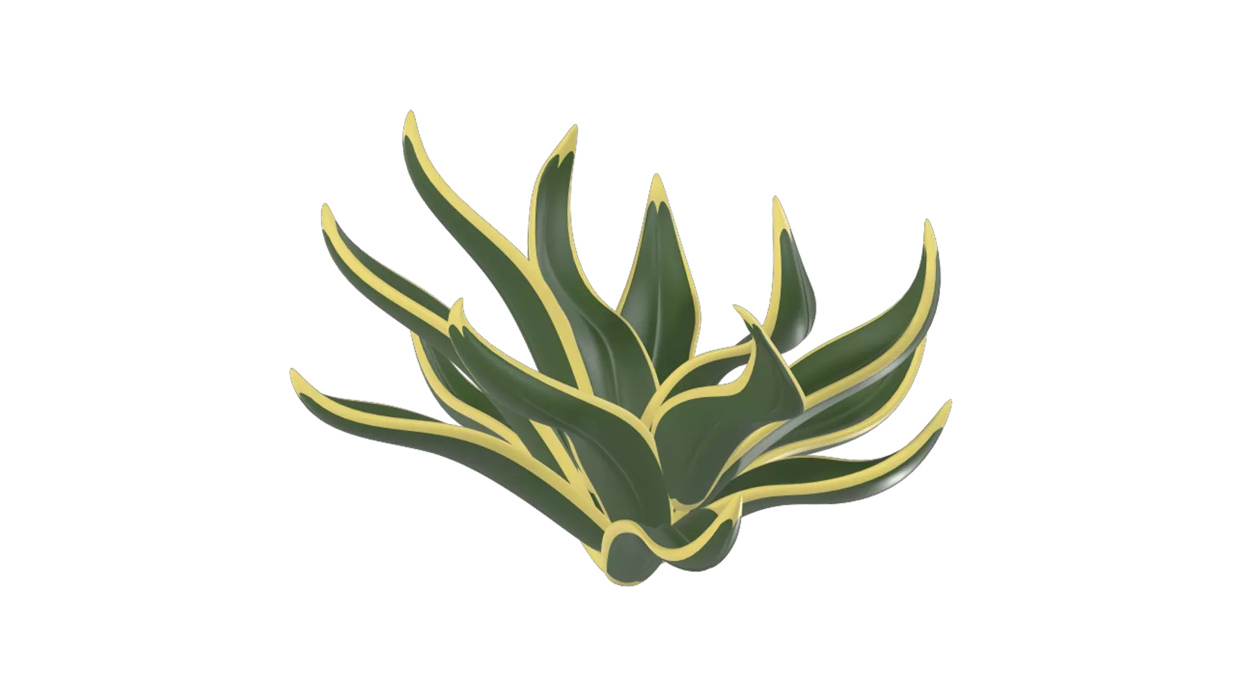 dracaena reflexa 3D Graphic