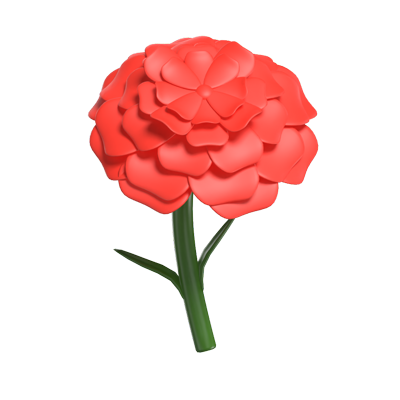 3d carnation cute timeless floral beauty (clavel 3d) 3D Graphic