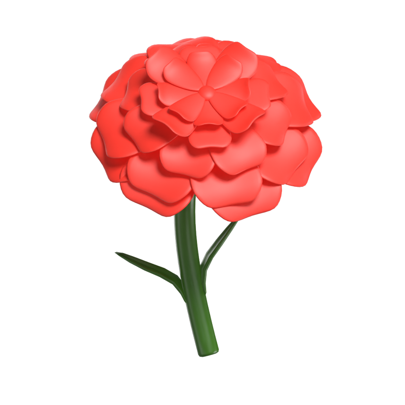 3D Carnation Cute Timeless Floral Beauty 3D Graphic