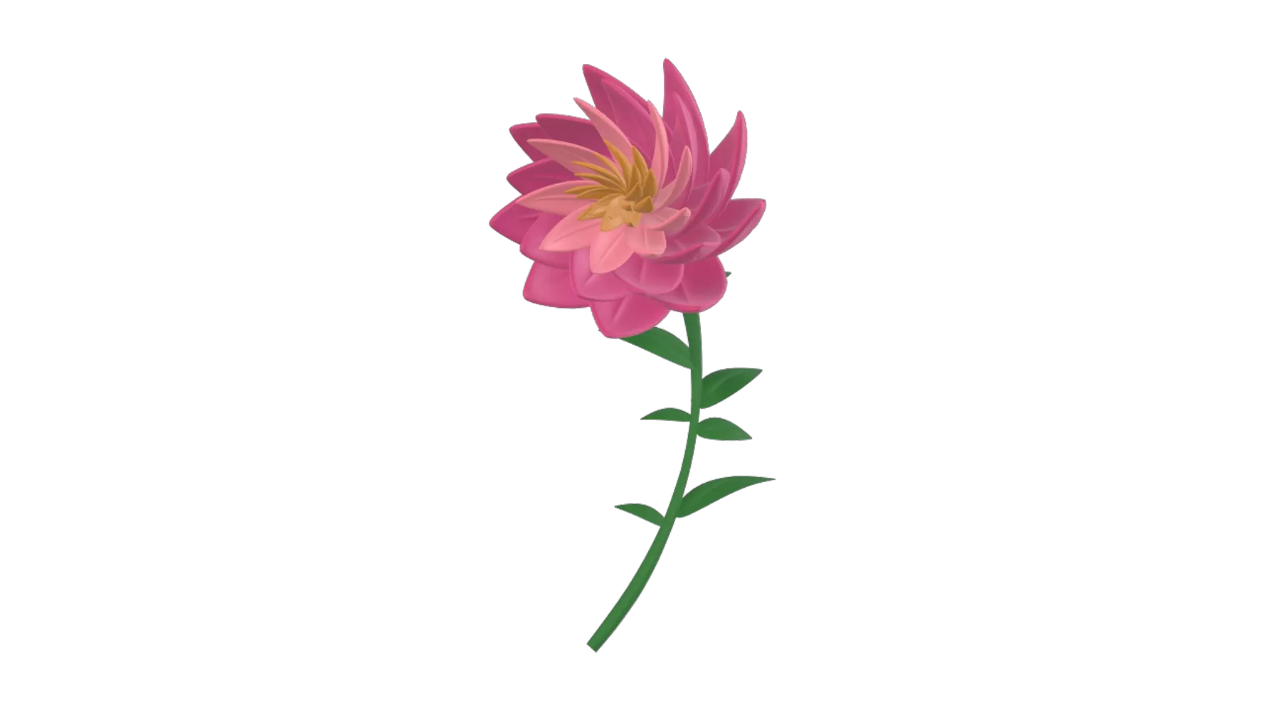 Lotus Flower 3D Graphic