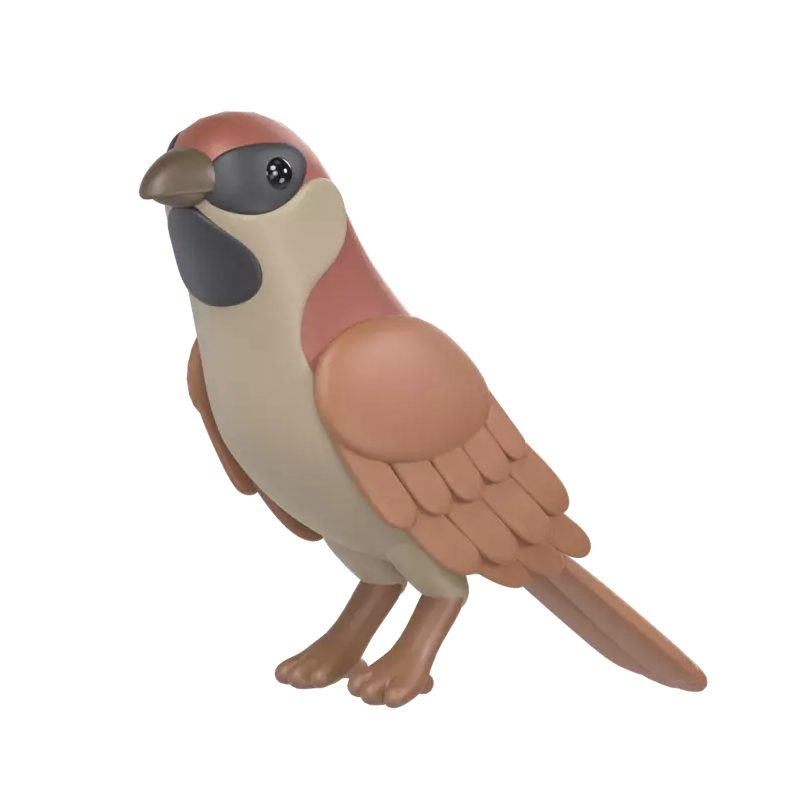 Sparrow 3D Graphic