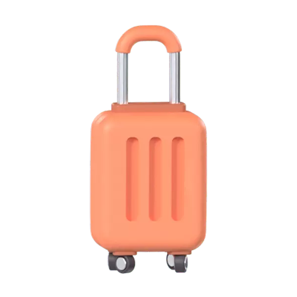 Luggage