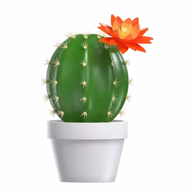 3D Model Cactus Flower In Pot 3D Graphic