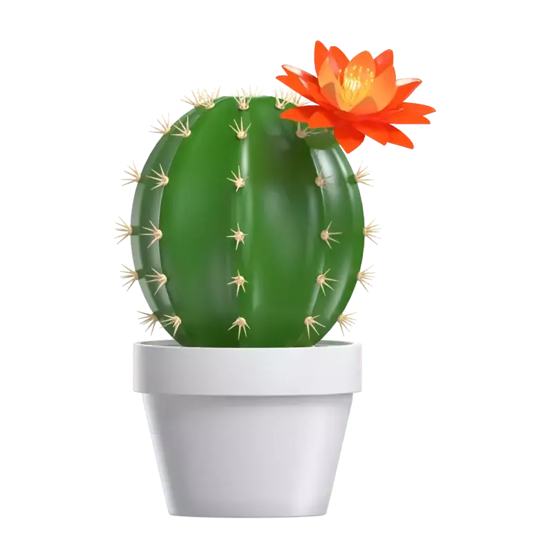 3D Model Cactus Flower In Pot