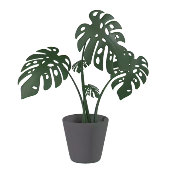 Monstera mit Topf 3D Graphic