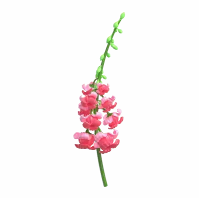 3D Model Snapdragon Flower Vibrant Blooms 3D Graphic
